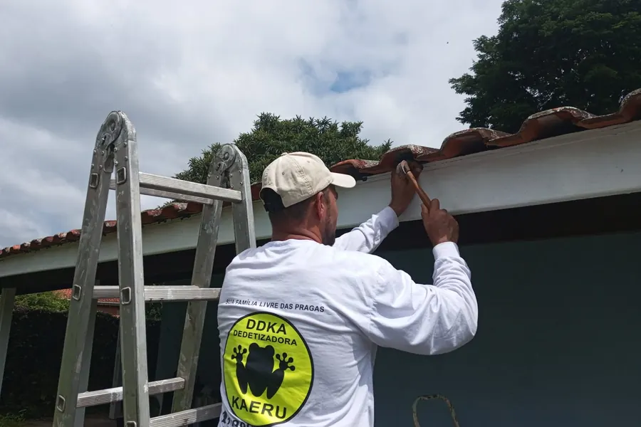 Instalação de proteção contra aves no beiral