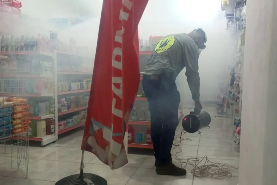 Termonebulização em loja